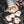 Cup of Boos Mini Cookie Set