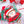Elf Decorated Sugar Cookie, Girl, SHIP