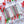 Holiday Celebration Chocolate Covered Pretzels, Half Dozen